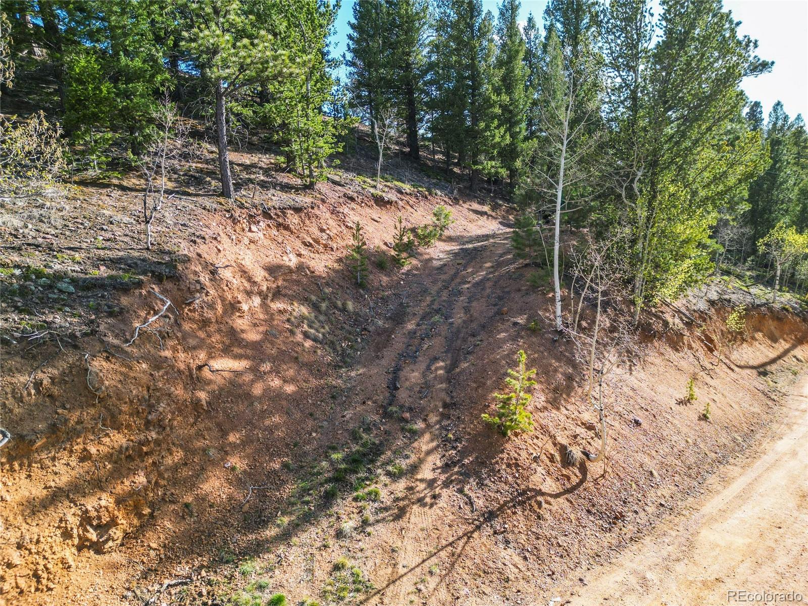 272 Wise Road Bailey CO 80421