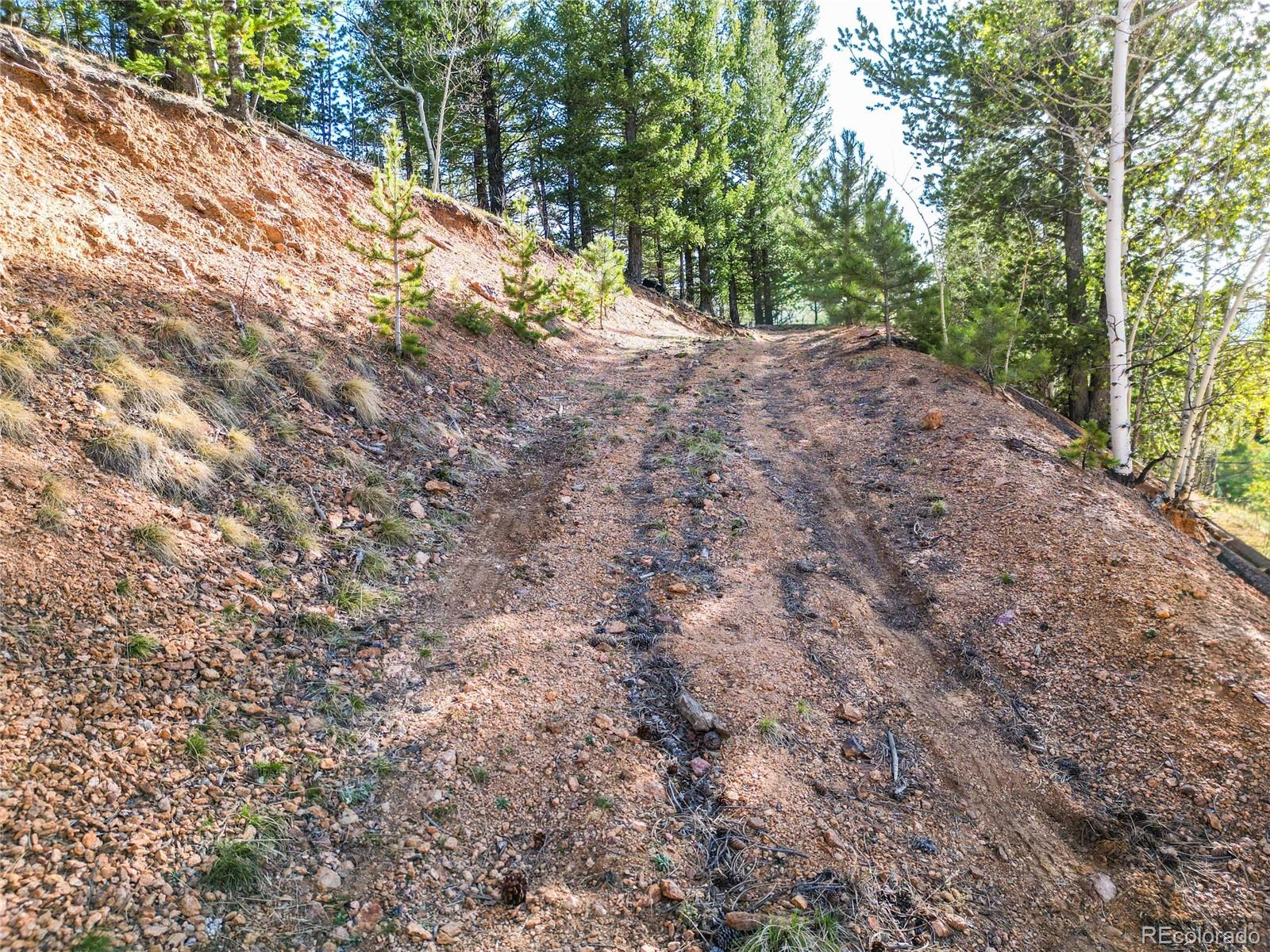 272 Wise Road Bailey CO 80421