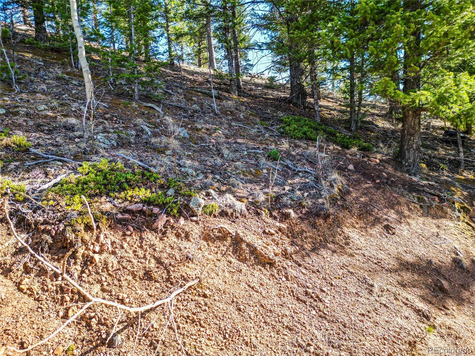 272 Wise Road Bailey CO 80421