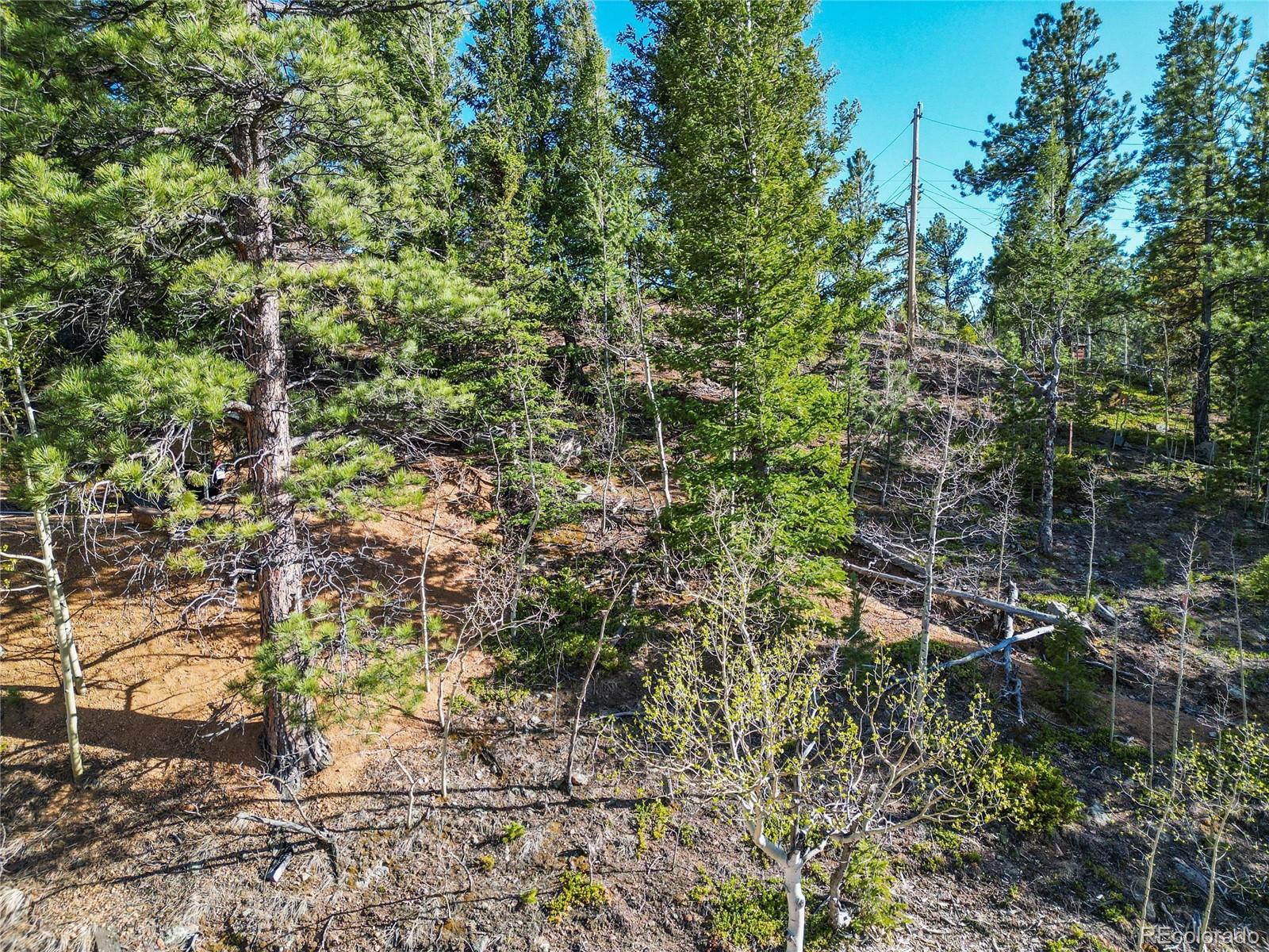 272 Wise Road Bailey CO 80421