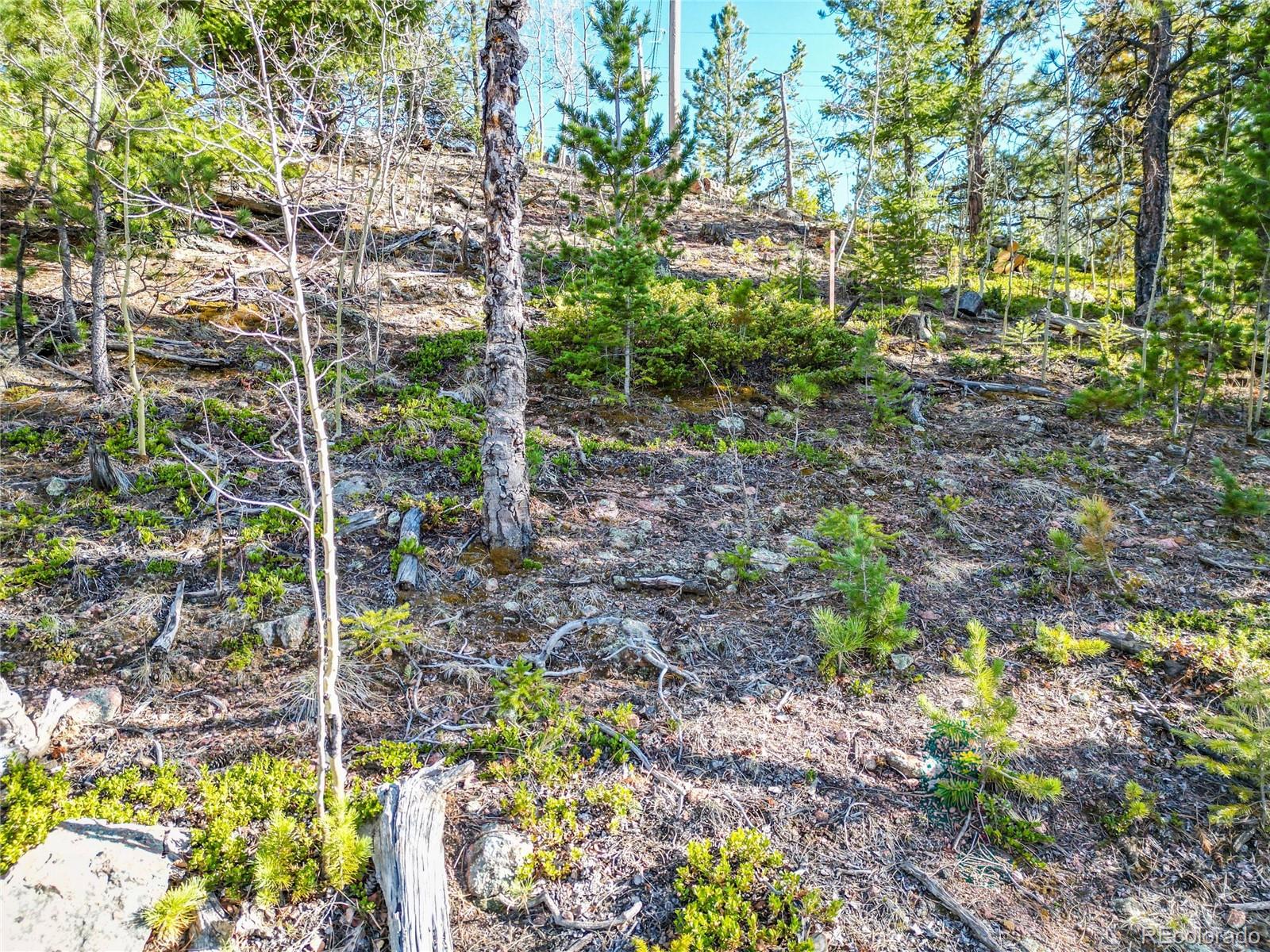 272 Wise Road Bailey CO 80421