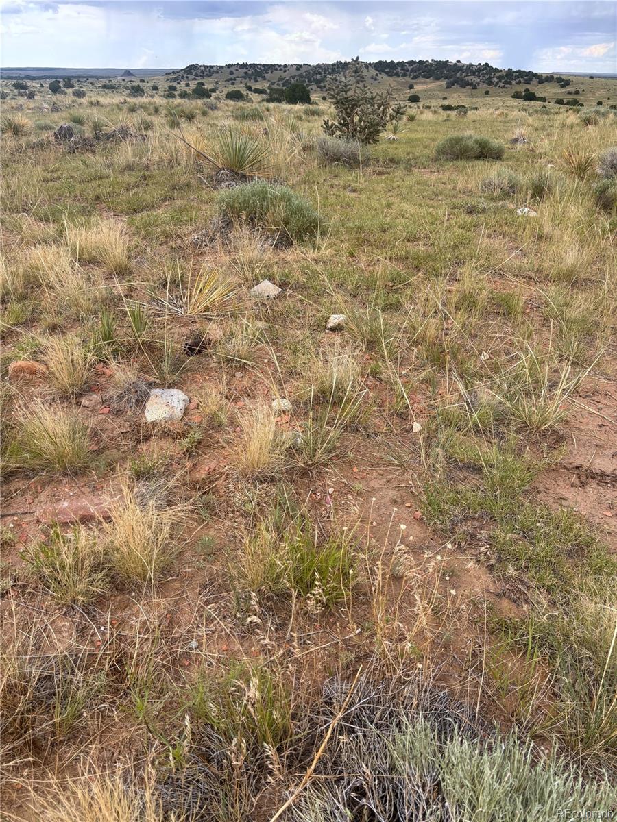 000 Lot 100 Colorado Land And Livestock Ranch Walsenburg CO 81069