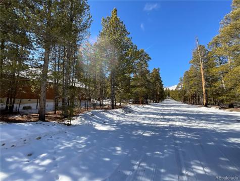 872 Birch Drive Twin Lakes CO 81251