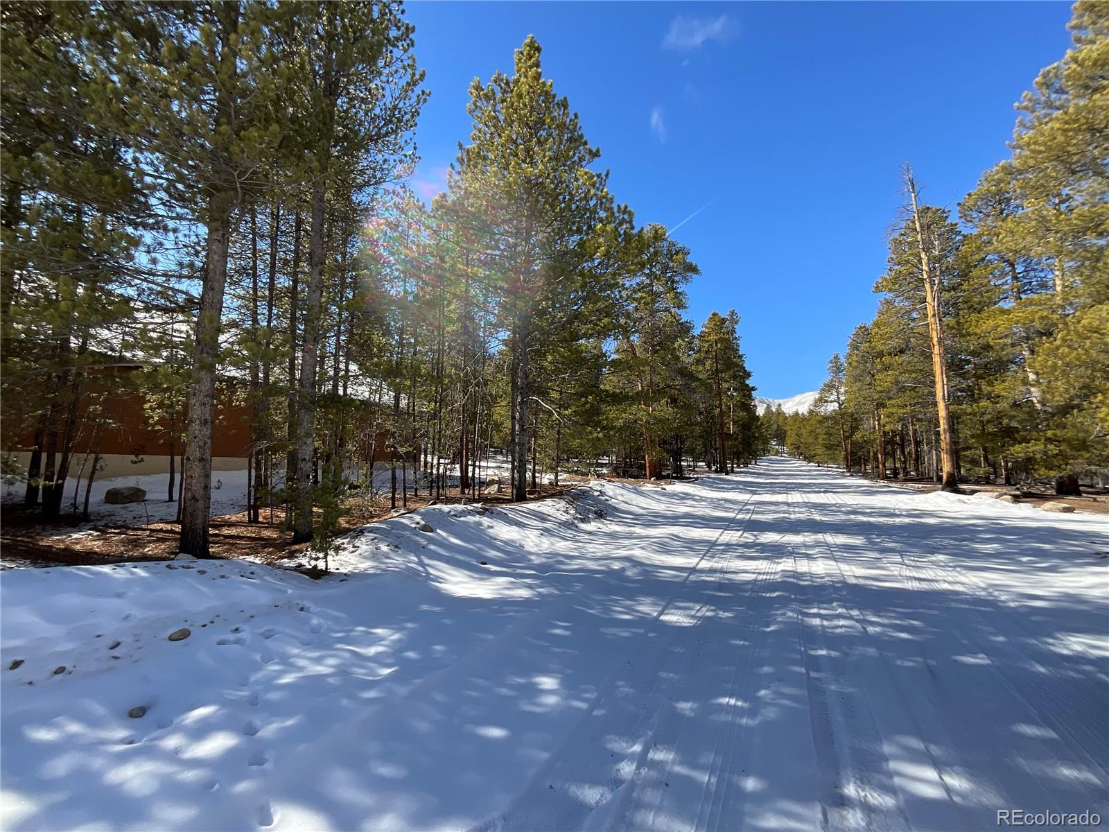 872 Birch Drive Twin Lakes CO 81251