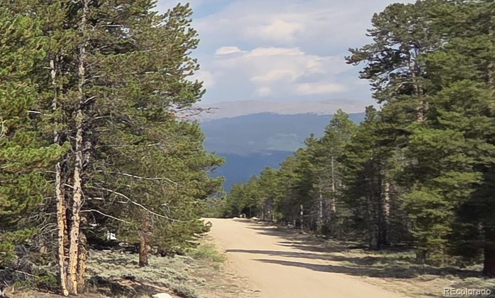 455 Spruce Drive Leadville CO 80461