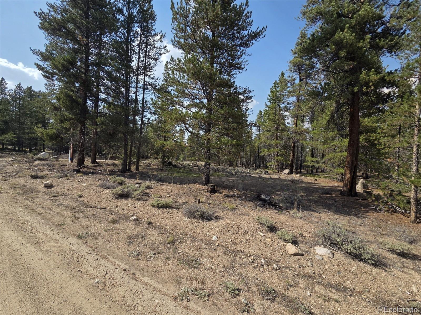 455 Spruce Drive Leadville CO 80461