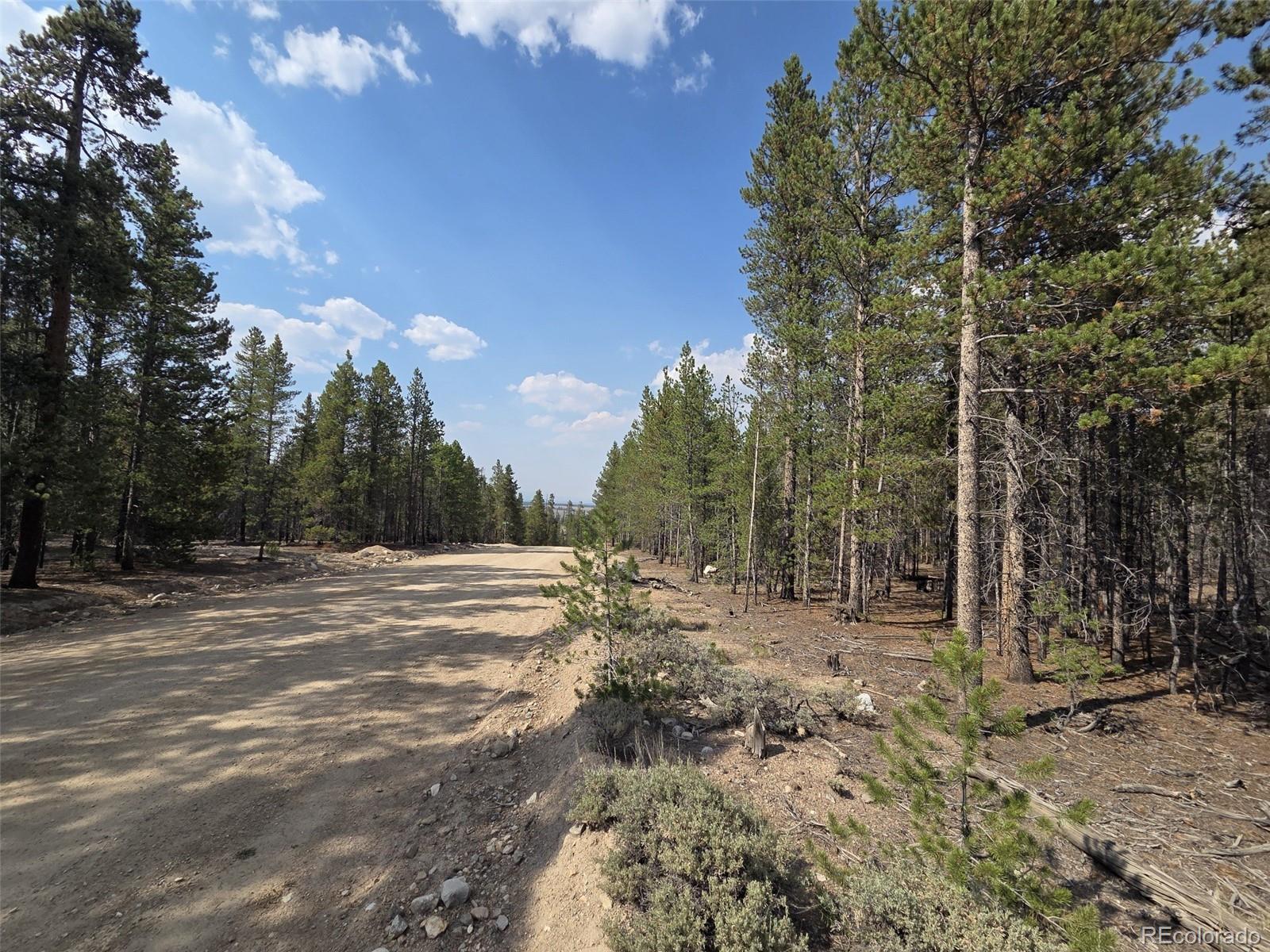 455 Spruce Drive Leadville CO 80461