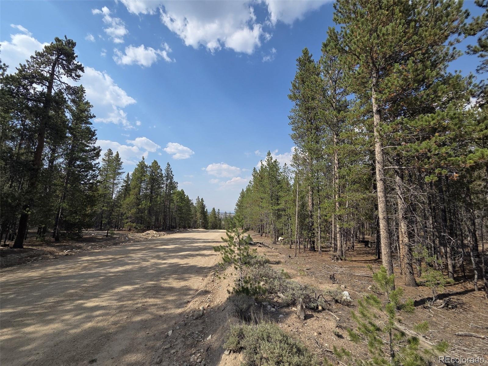 455 Spruce Drive Leadville CO 80461