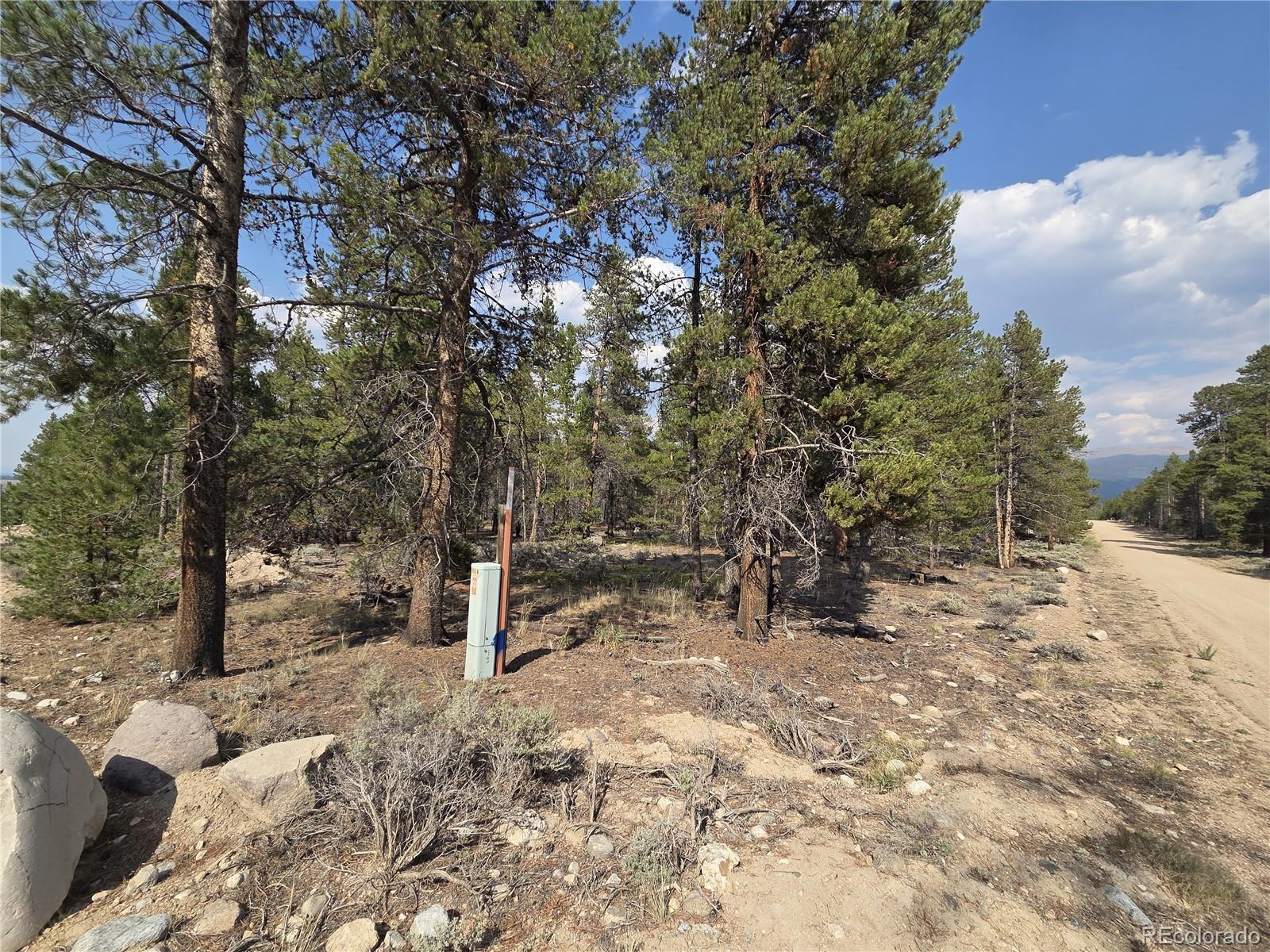 455 Spruce Drive Leadville CO 80461
