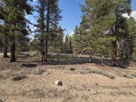 455 Spruce Drive Leadville CO 80461