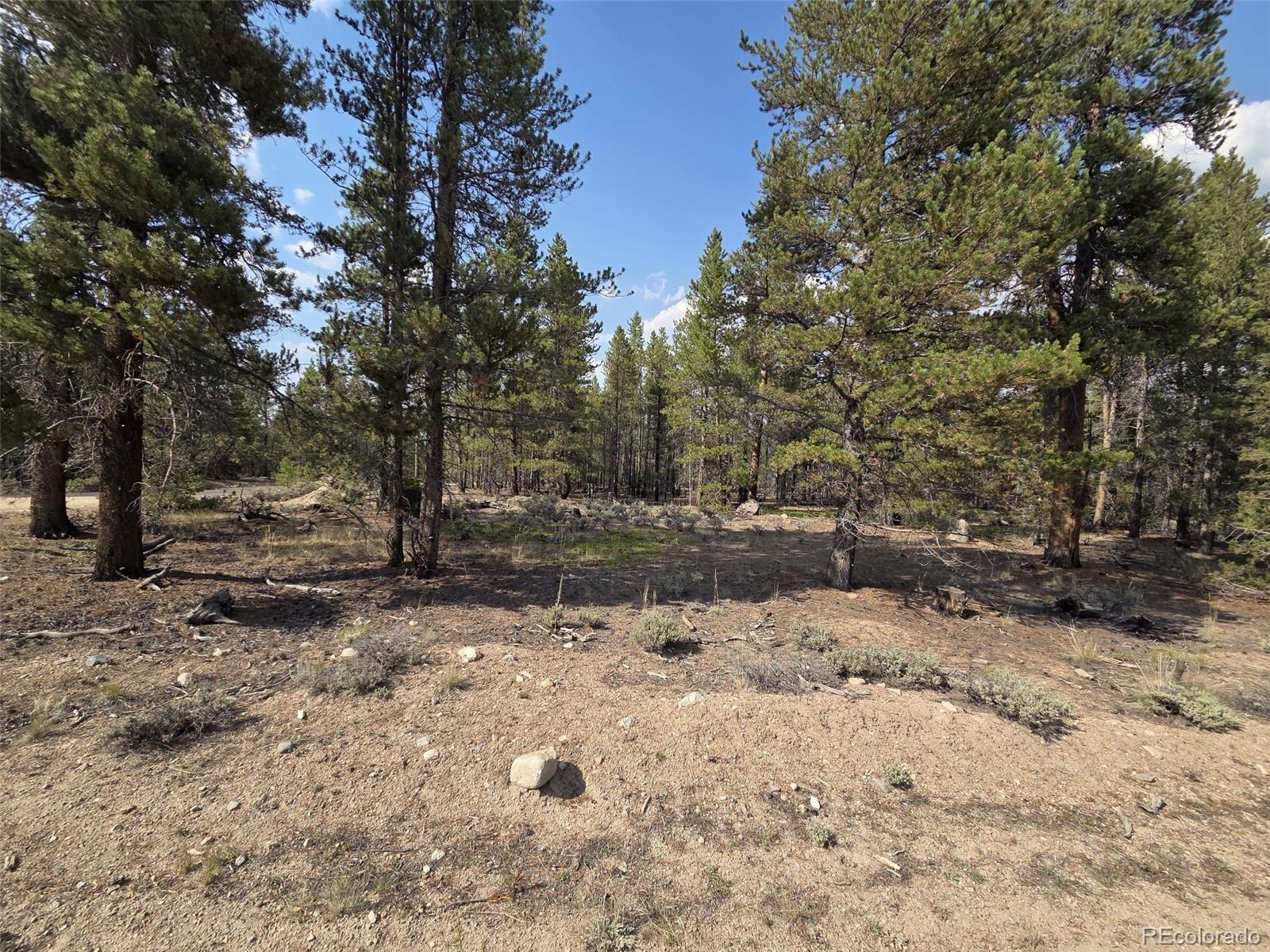 455 Spruce Drive Leadville CO 80461