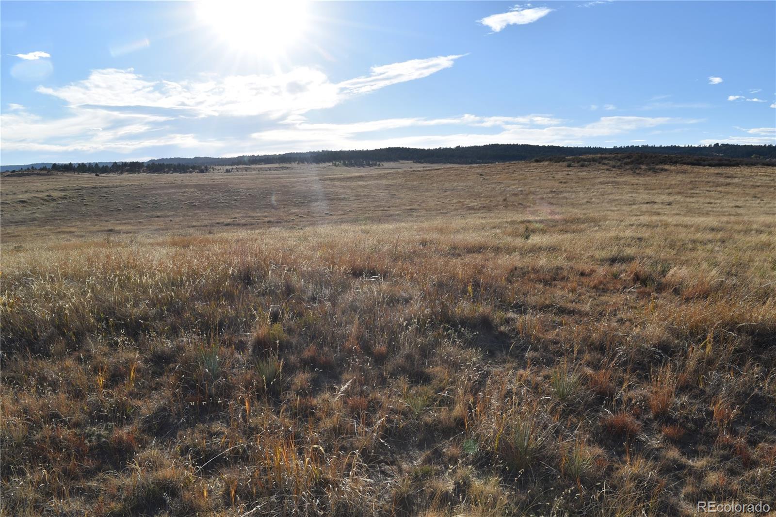 0 (Lot 3) County Road 102 Elbert CO 80106