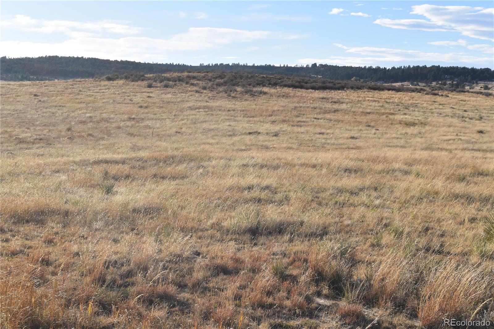 0 (Lot 3) County Road 102 Elbert CO 80106