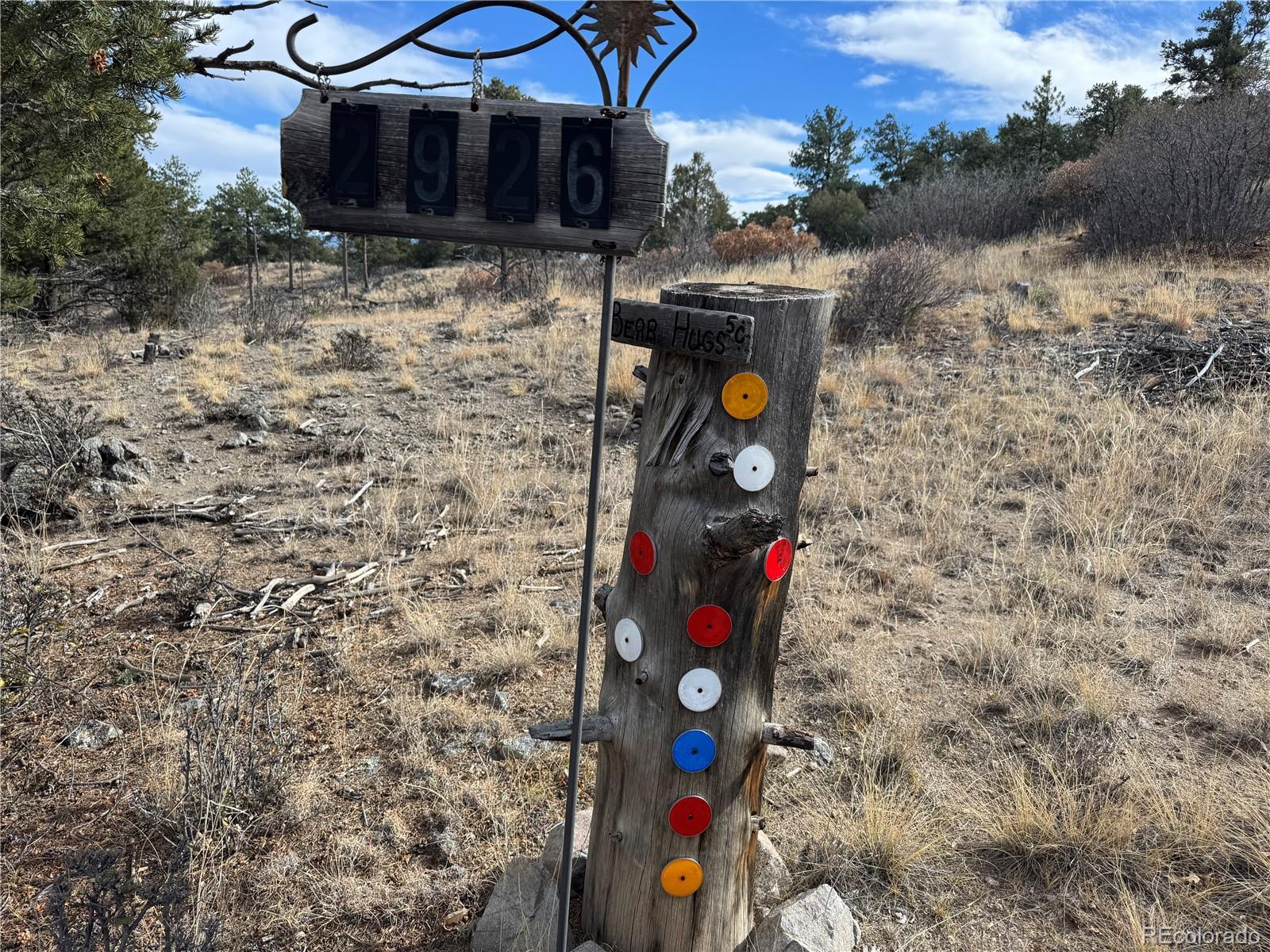 2926 E Path Cotopaxi CO 81223