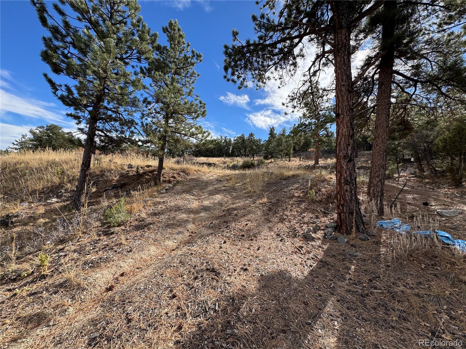 2926 E Path Cotopaxi CO 81223