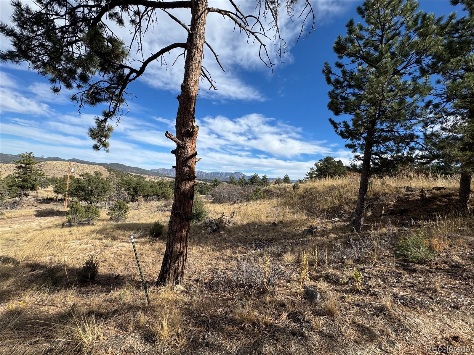 2926 E Path Cotopaxi CO 81223