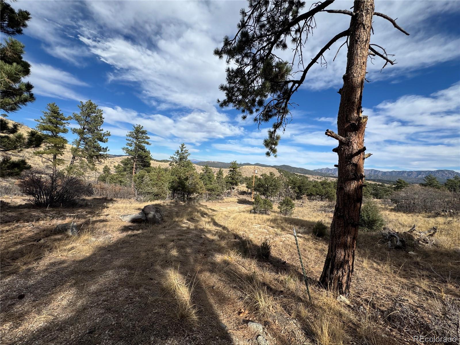 2926 E Path Cotopaxi CO 81223