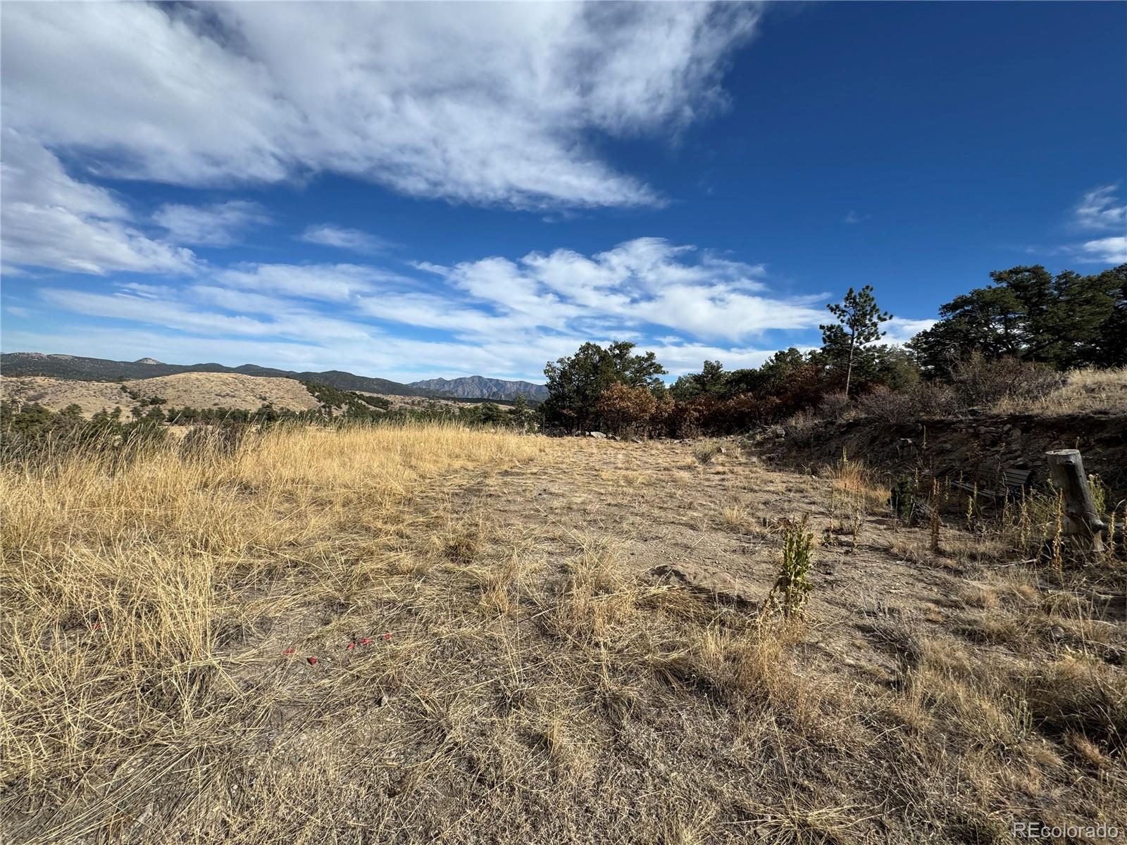 2926 E Path Cotopaxi CO 81223