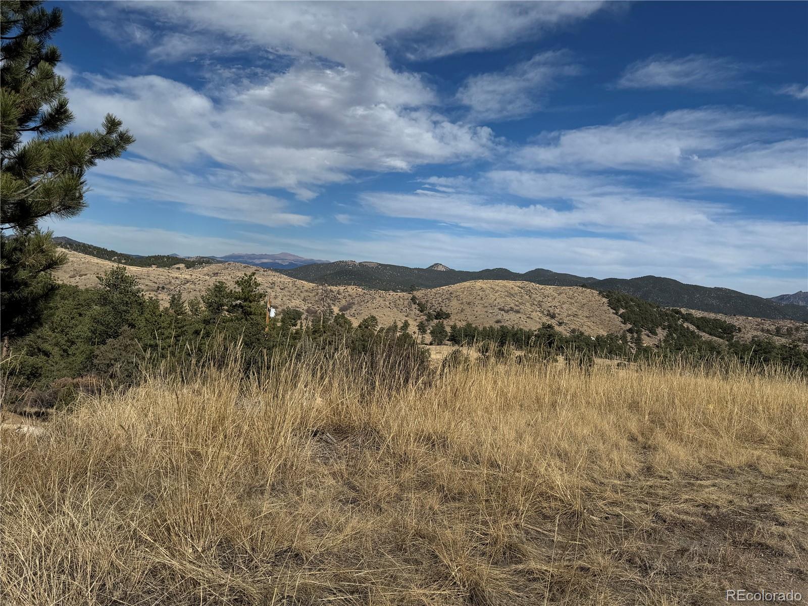 2926 E Path Cotopaxi CO 81223