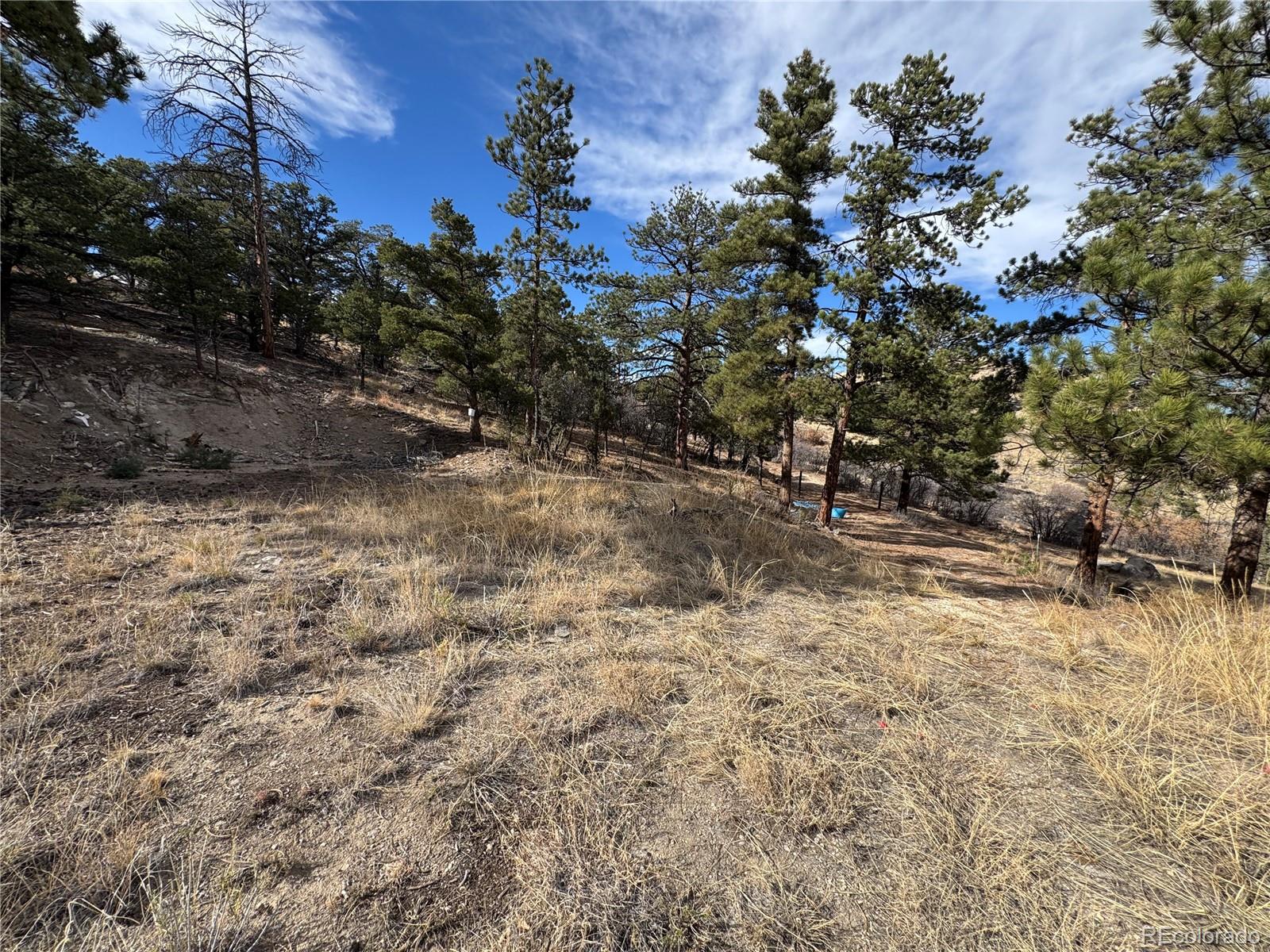2926 E Path Cotopaxi CO 81223