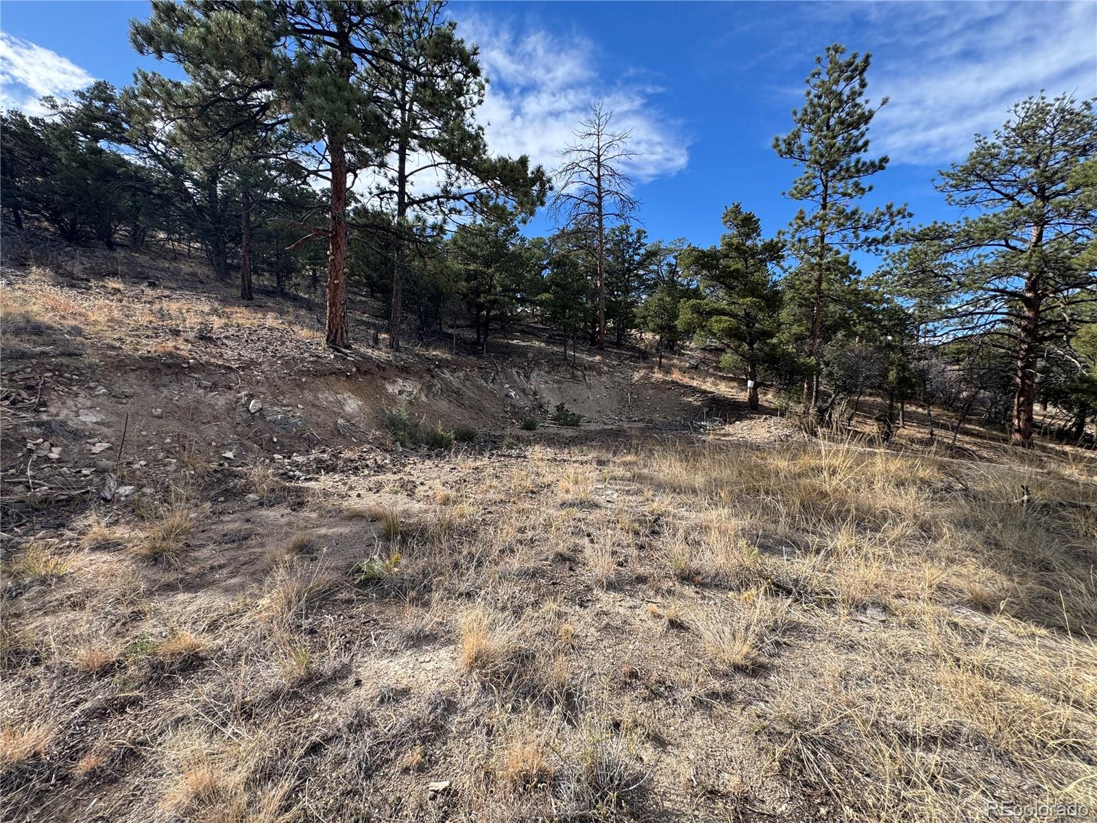 2926 E Path Cotopaxi CO 81223