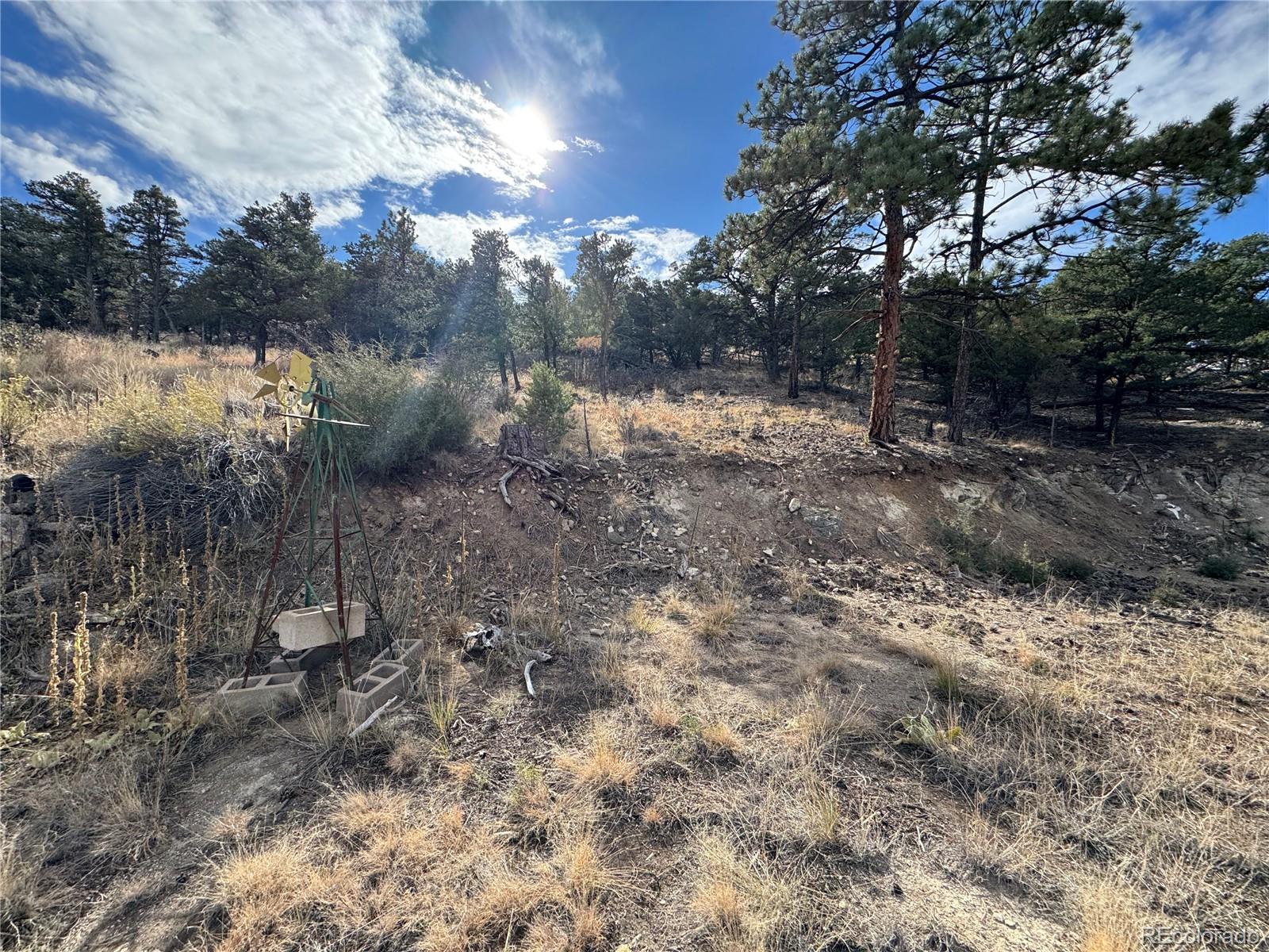 2926 E Path Cotopaxi CO 81223