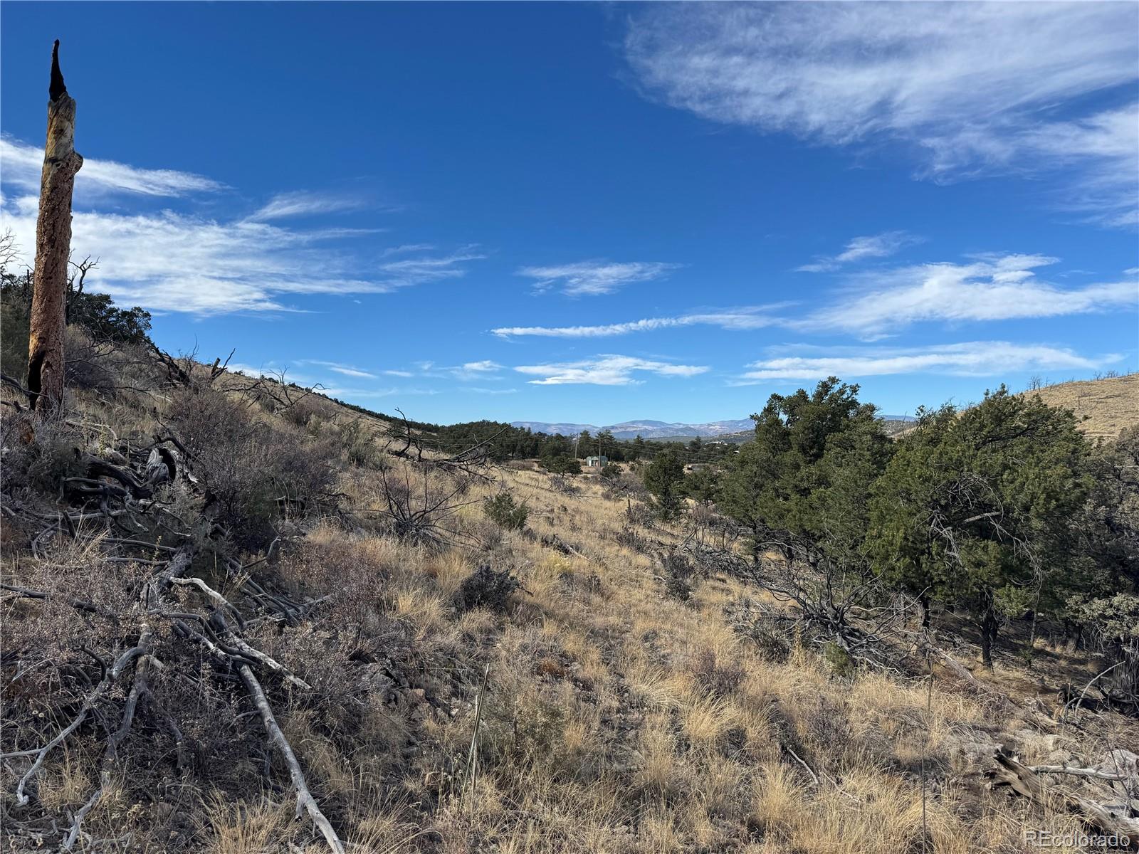 2926 E Path Cotopaxi CO 81223