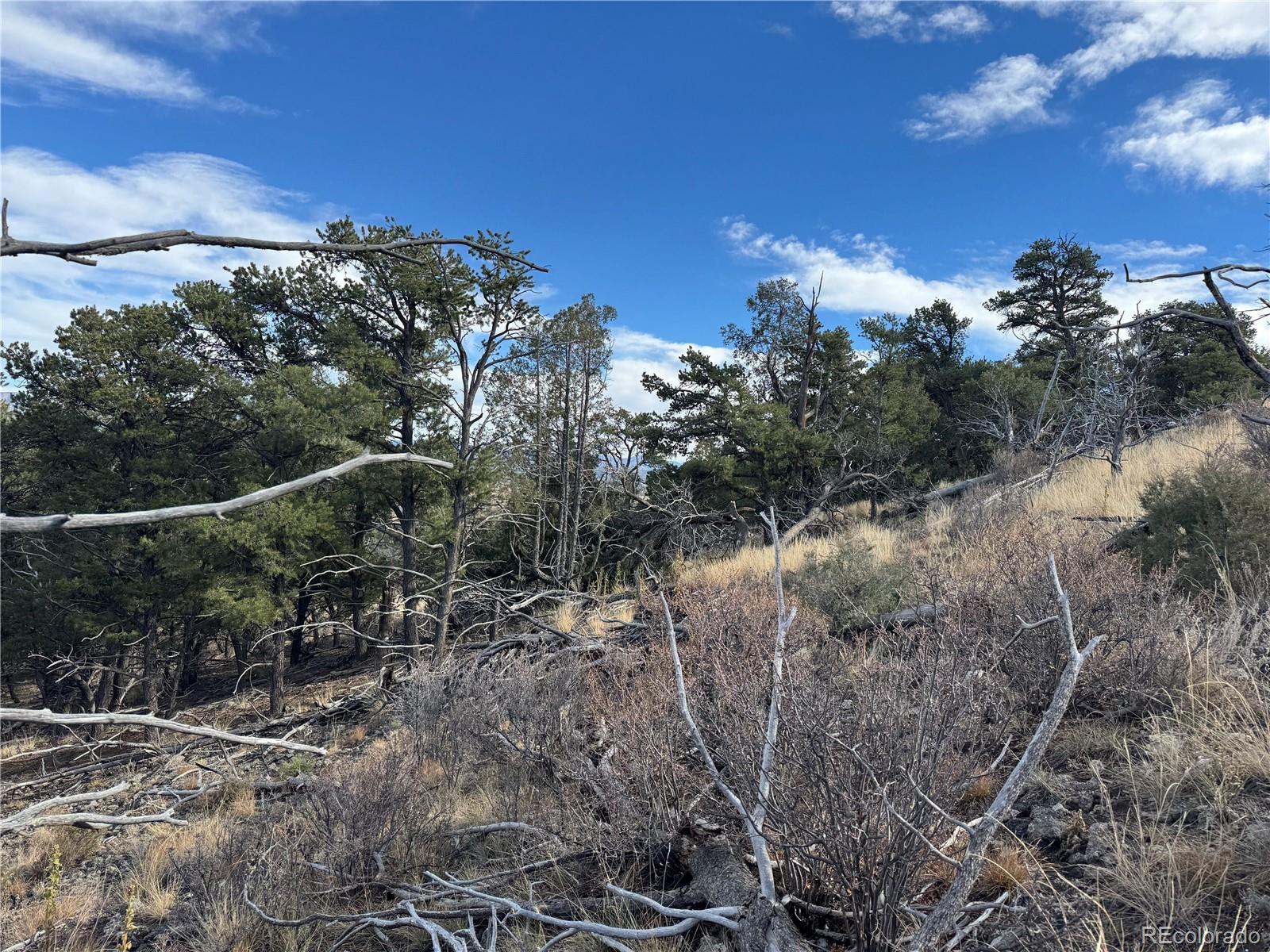 2926 E Path Cotopaxi CO 81223