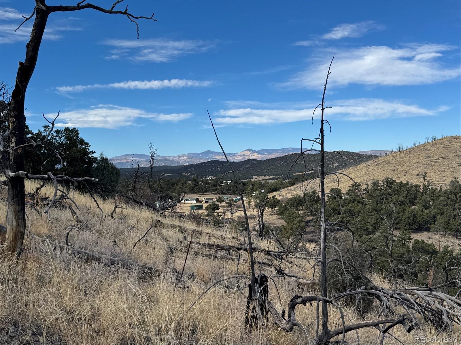 2926 E Path Cotopaxi CO 81223
