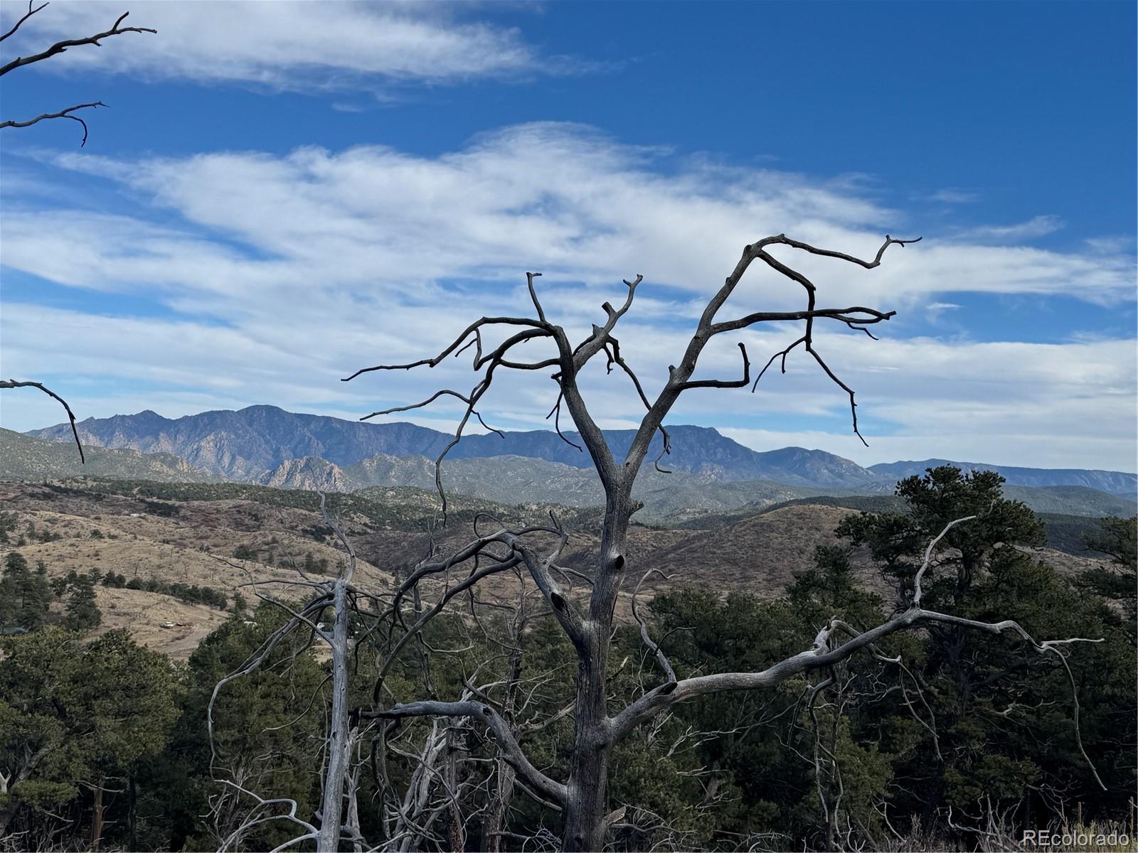2926 E Path Cotopaxi CO 81223