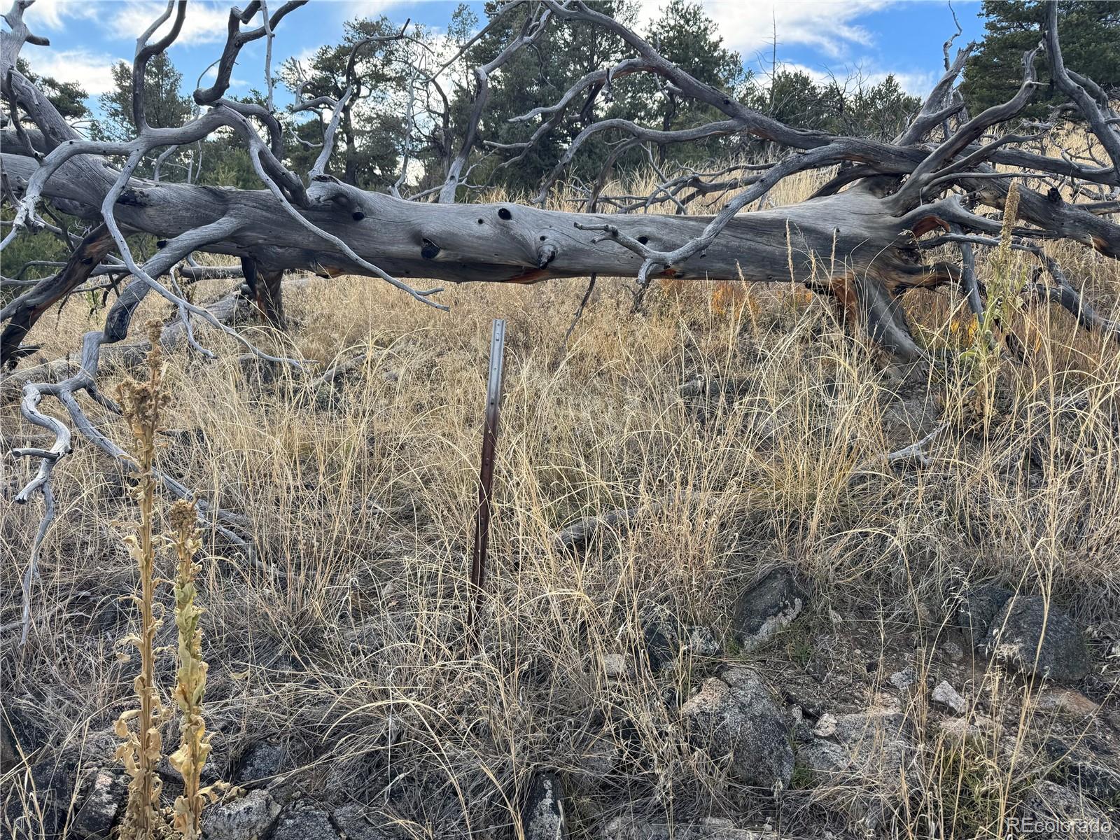 2926 E Path Cotopaxi CO 81223