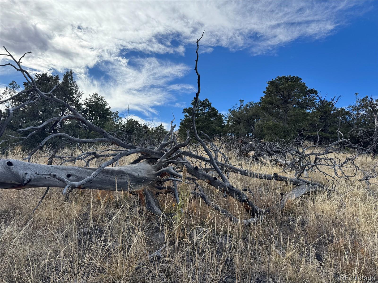 2926 E Path Cotopaxi CO 81223