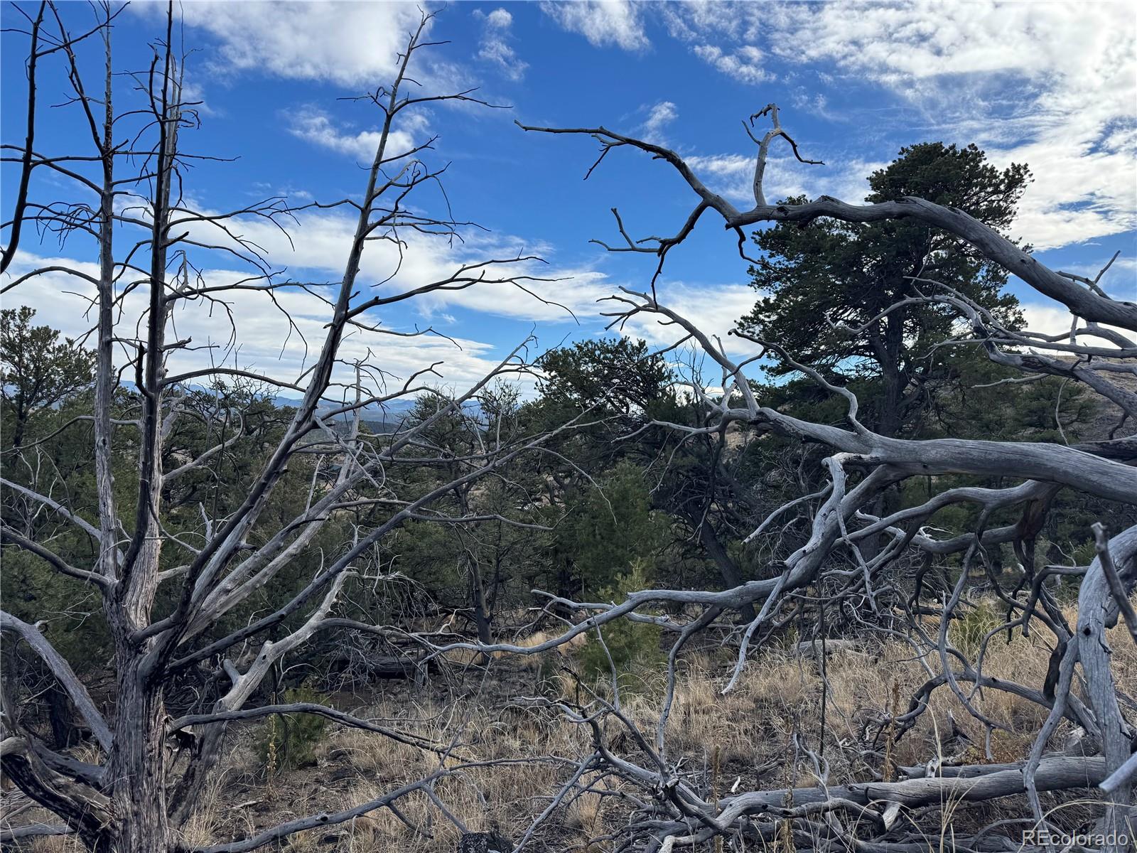 2926 E Path Cotopaxi CO 81223