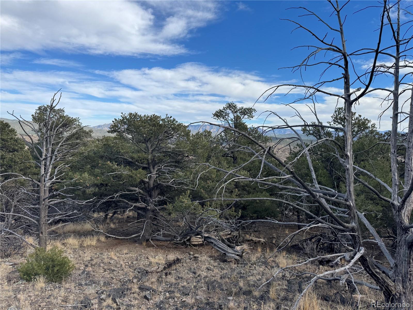 2926 E Path Cotopaxi CO 81223