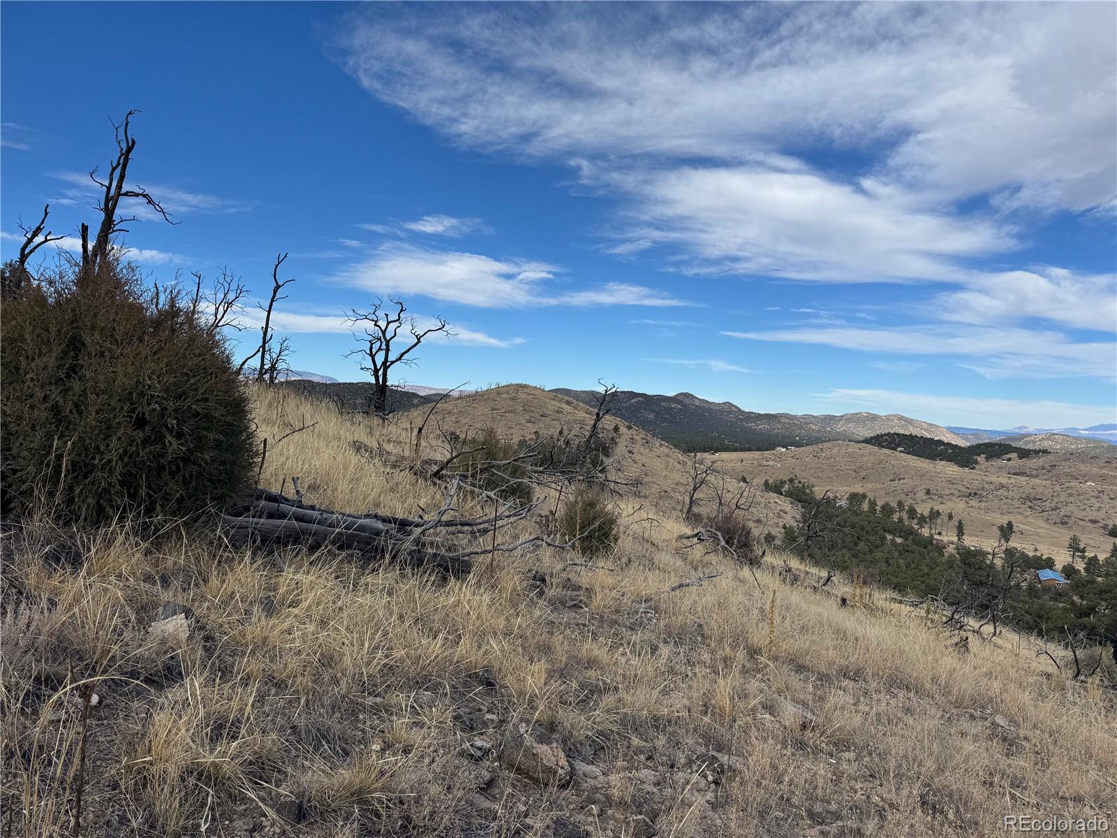 2926 E Path Cotopaxi CO 81223