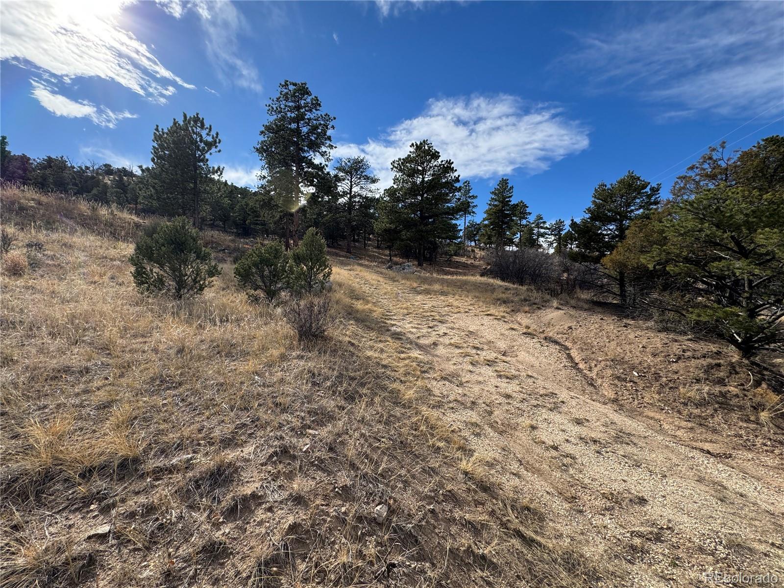 2926 E Path Cotopaxi CO 81223