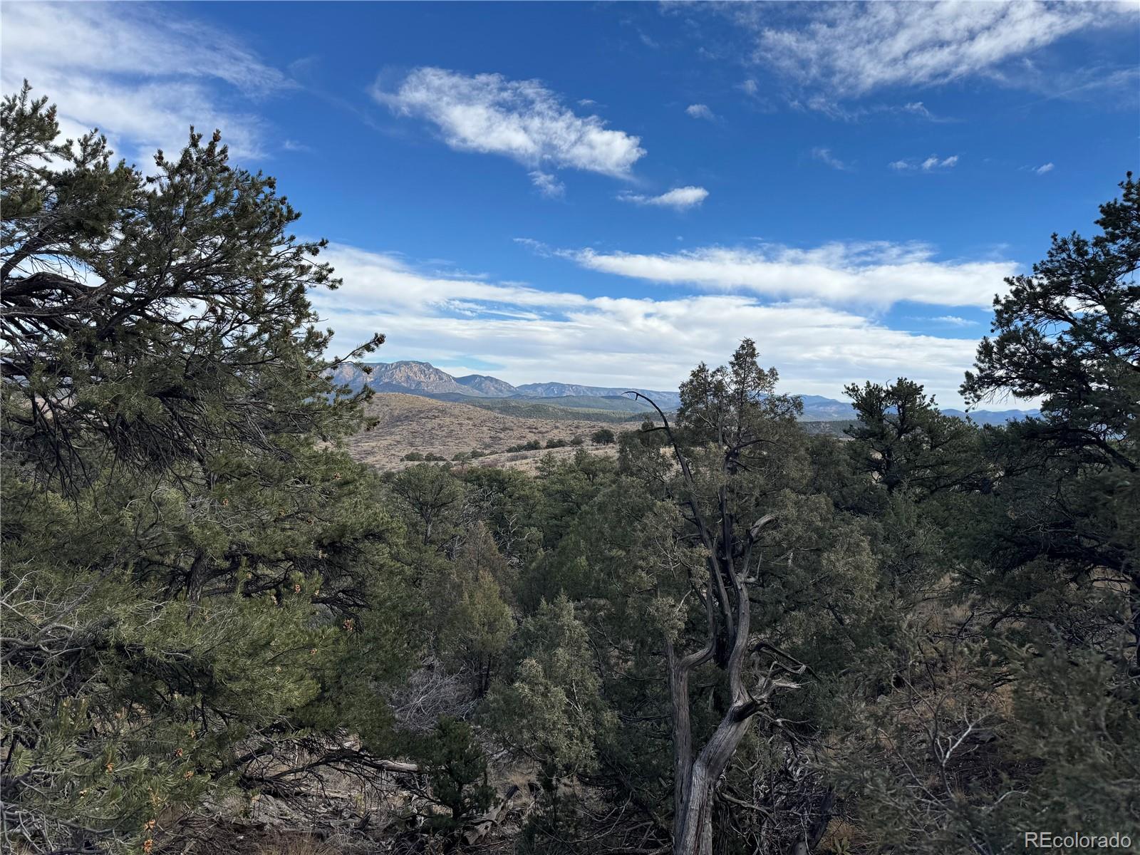 2926 E Path Cotopaxi CO 81223