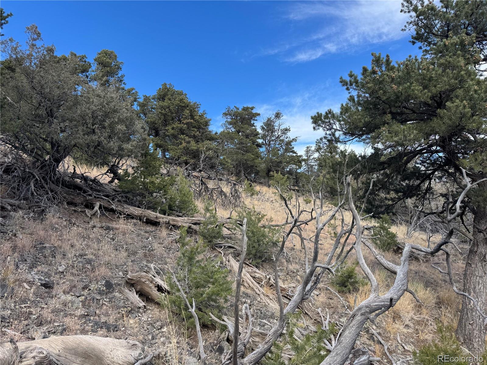 2926 E Path Cotopaxi CO 81223