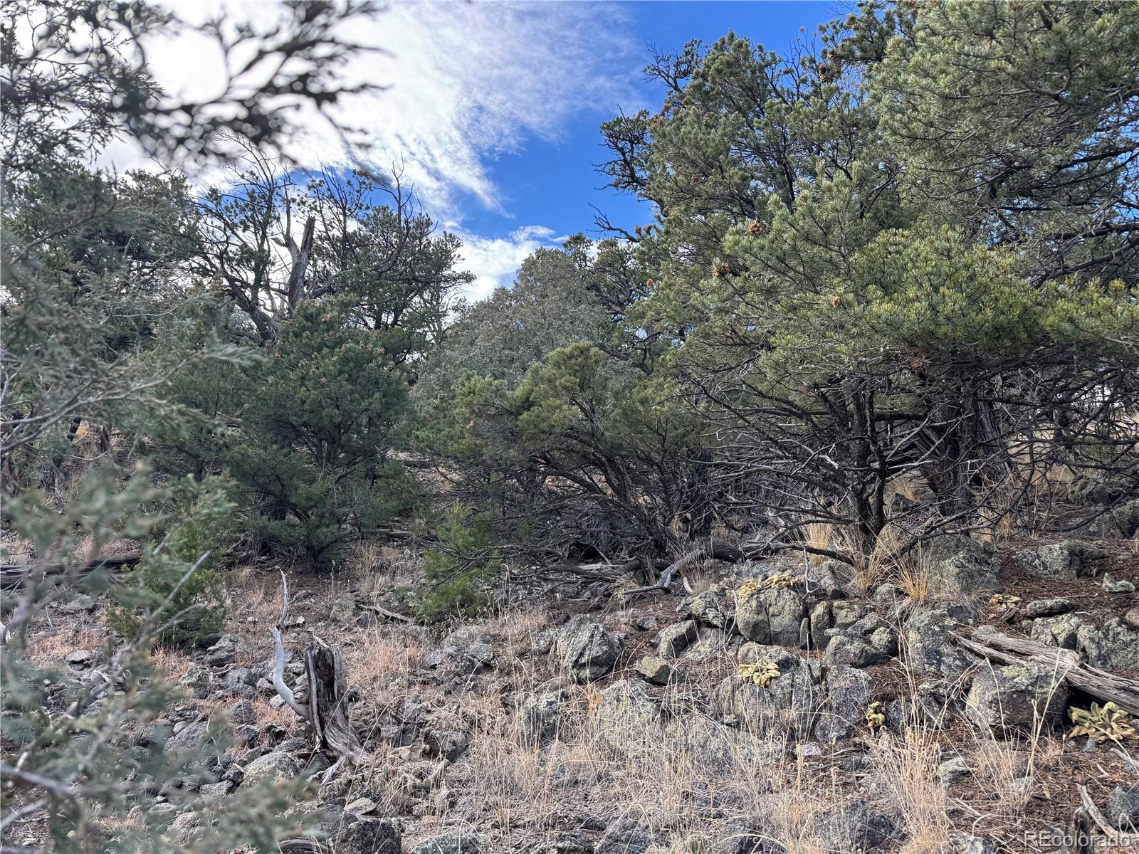 2926 E Path Cotopaxi CO 81223