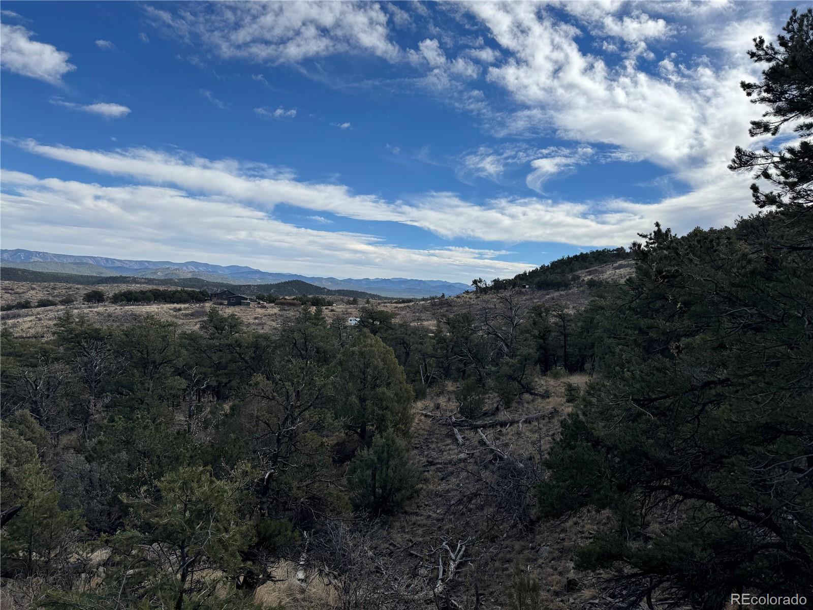 2926 E Path Cotopaxi CO 81223