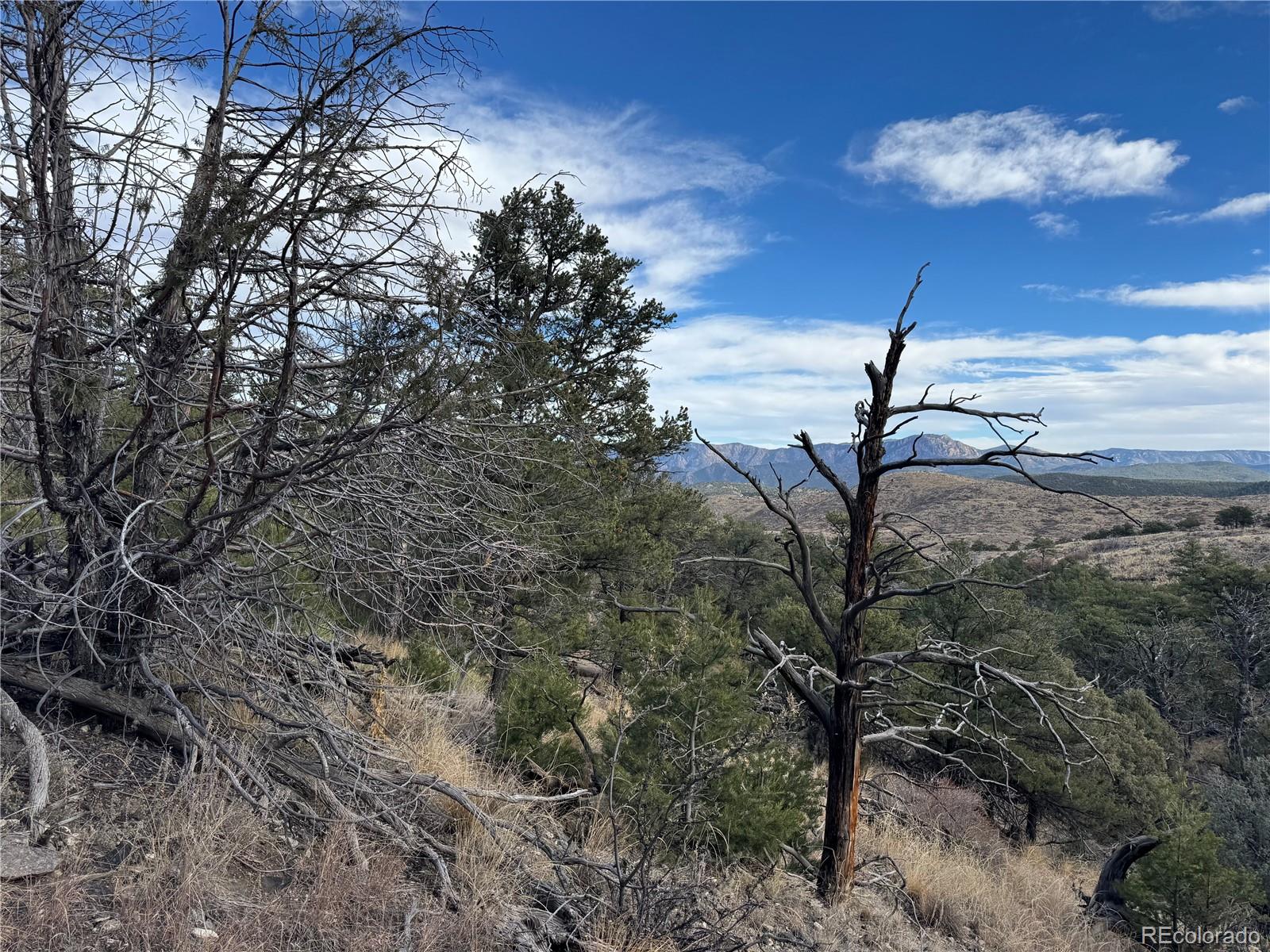 2926 E Path Cotopaxi CO 81223