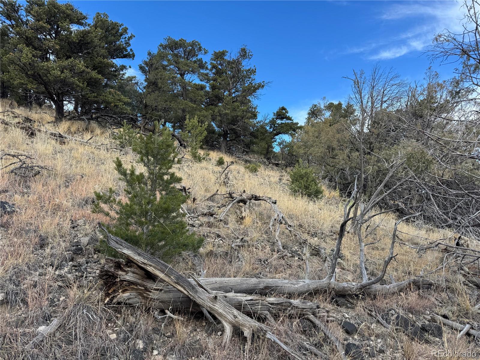 2926 E Path Cotopaxi CO 81223