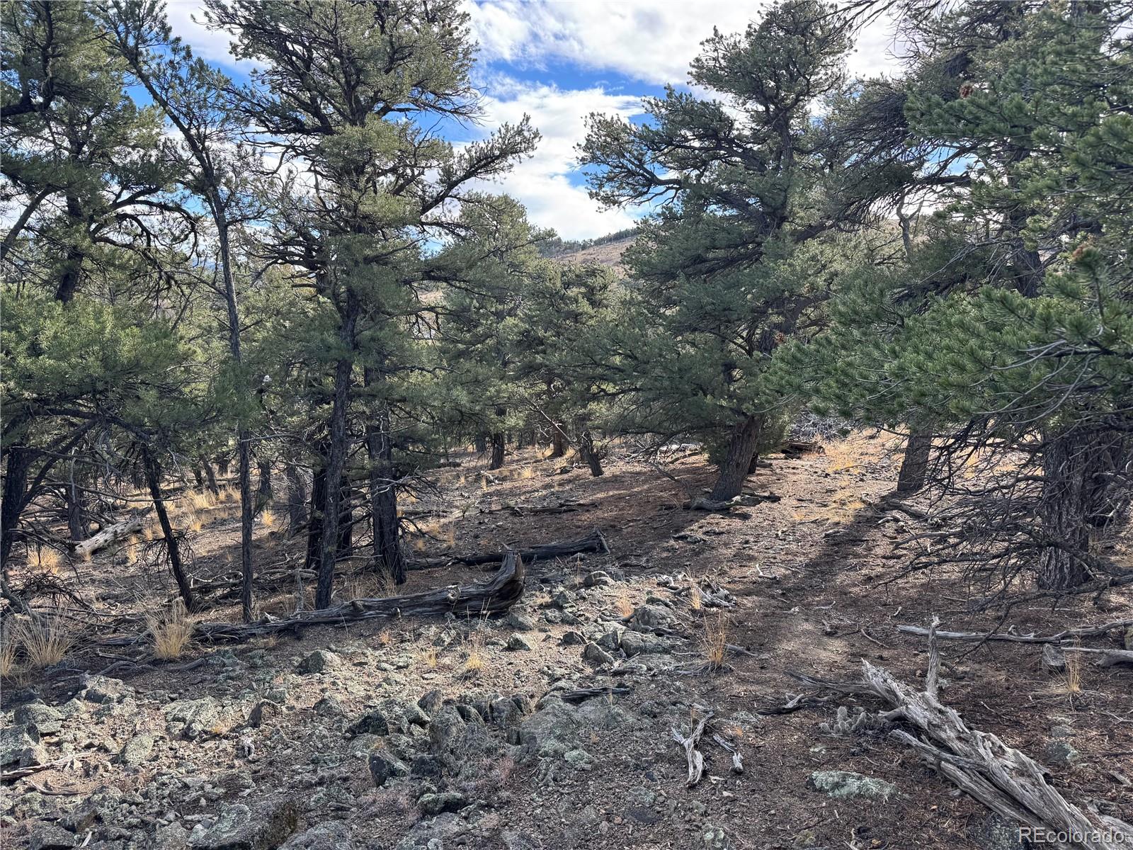 2926 E Path Cotopaxi CO 81223