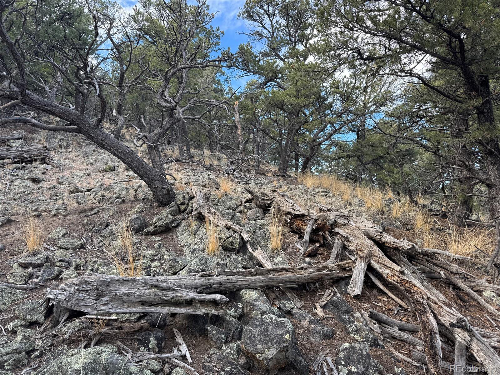 2926 E Path Cotopaxi CO 81223