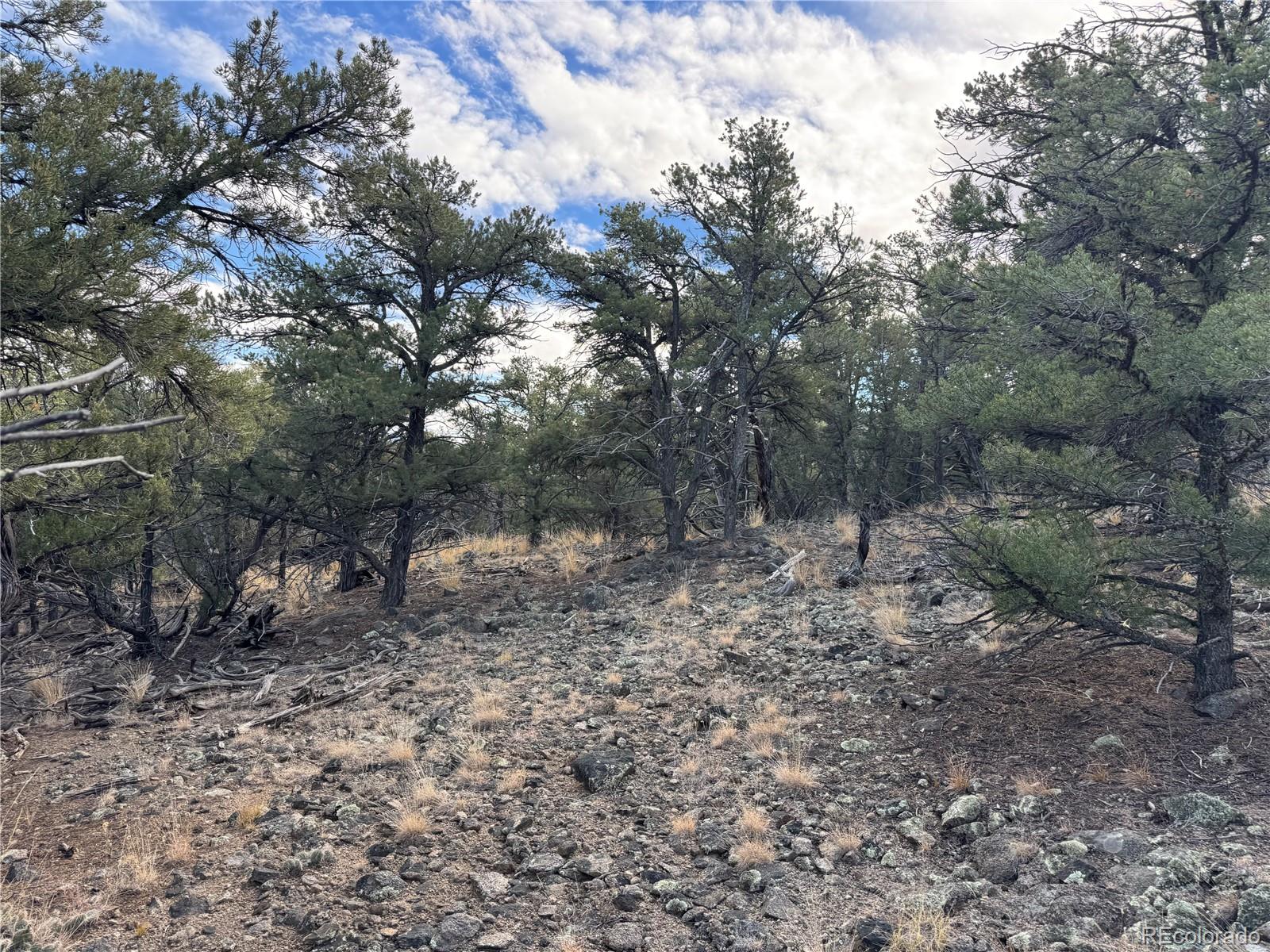 2926 E Path Cotopaxi CO 81223