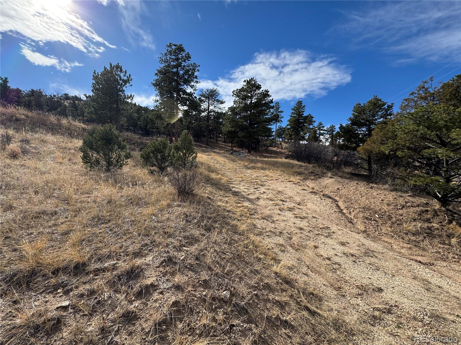 2926 E Path Cotopaxi CO 81223