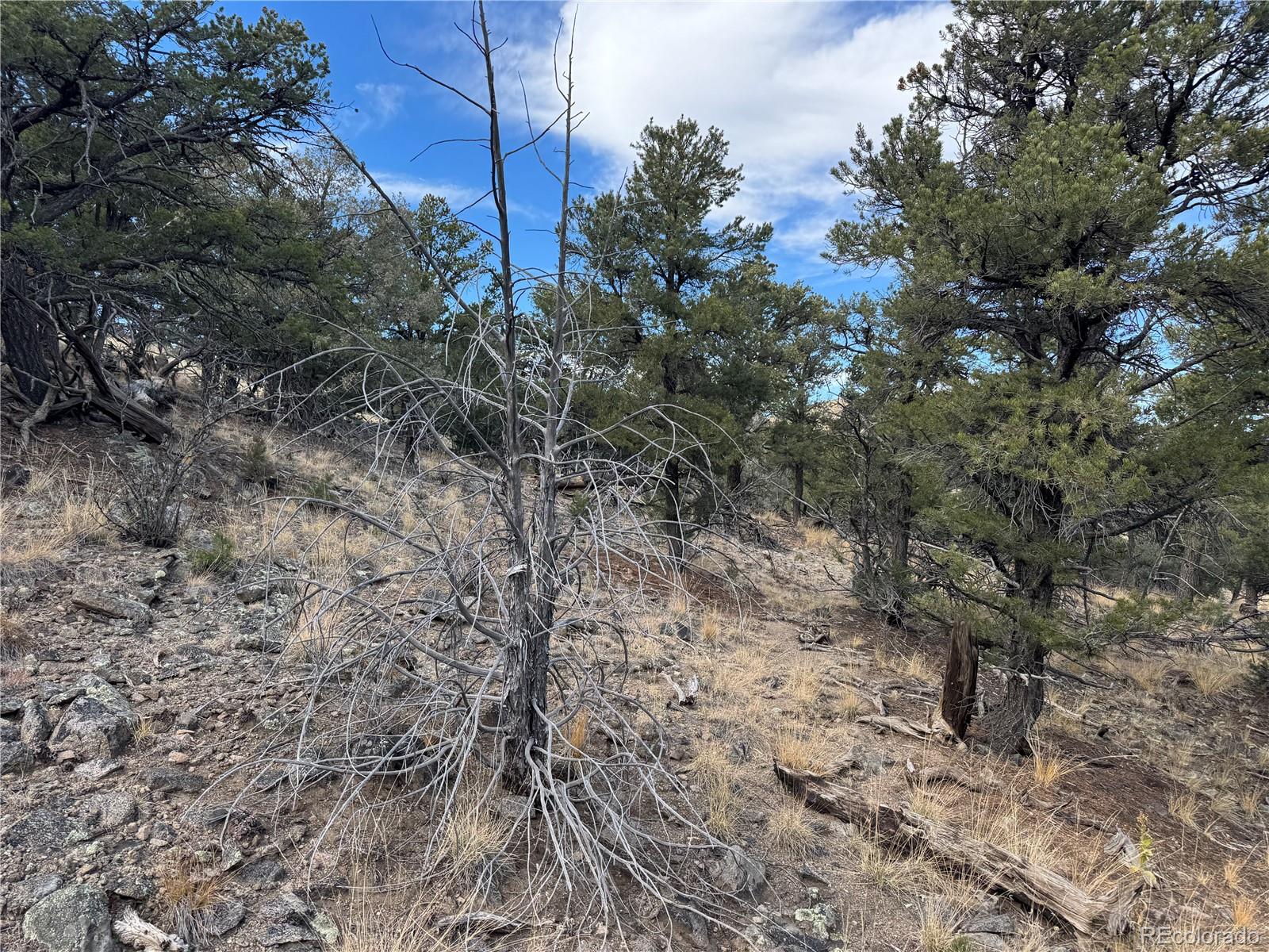 2926 E Path Cotopaxi CO 81223