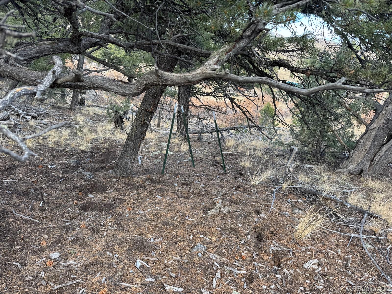 2926 E Path Cotopaxi CO 81223