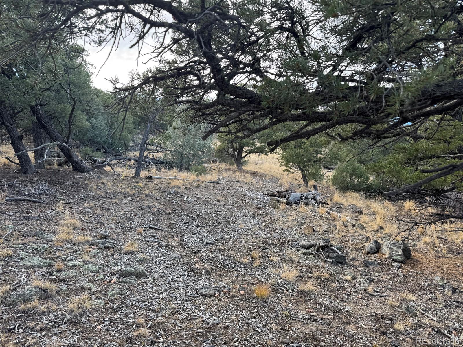 2926 E Path Cotopaxi CO 81223