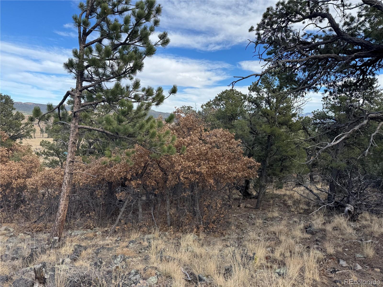 2926 E Path Cotopaxi CO 81223